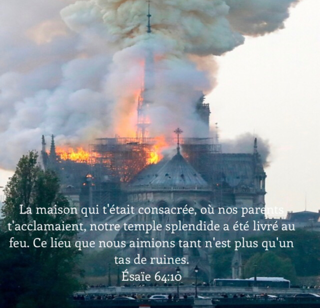 Notre Dame de Paris brûle.